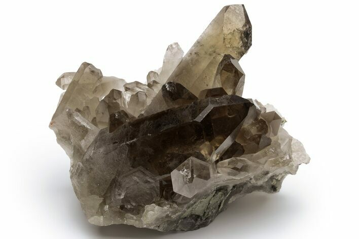 Natural Smoky Quartz Crystal Cluster - Brazil #231281